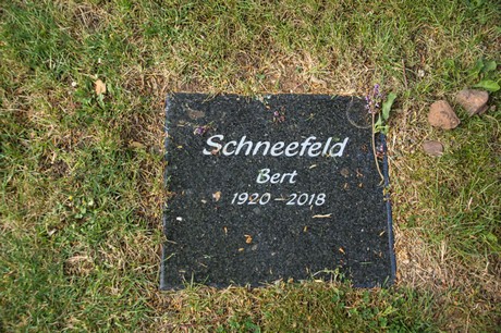 Sinzenich