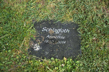 Sinzenich