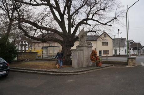 sinzenich
