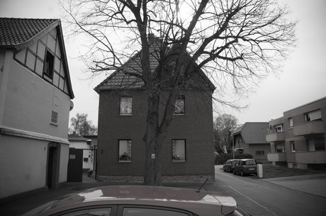 sinzenich