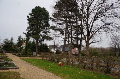 sinzenich