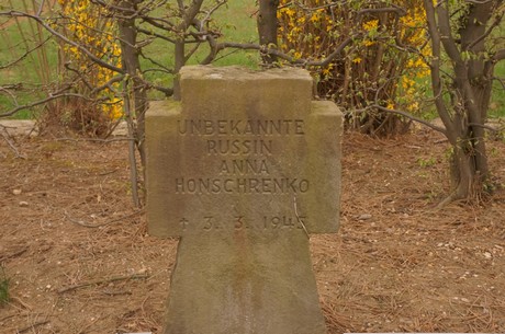 sinzenich