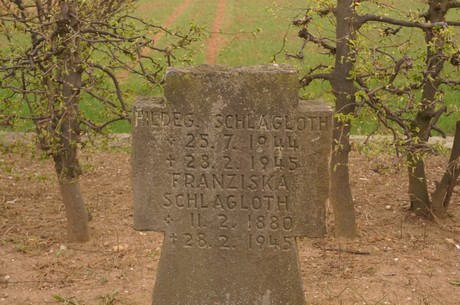 sinzenich
