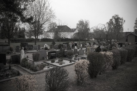sinzenich
