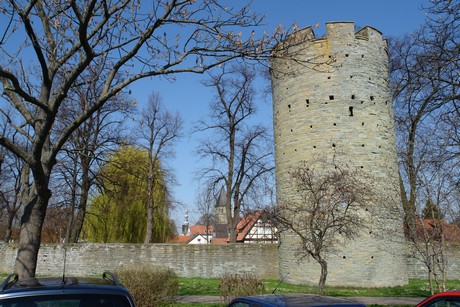 soest