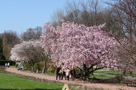 soest