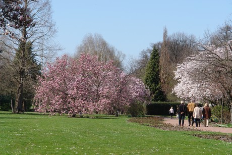 soest