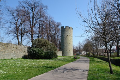 soest