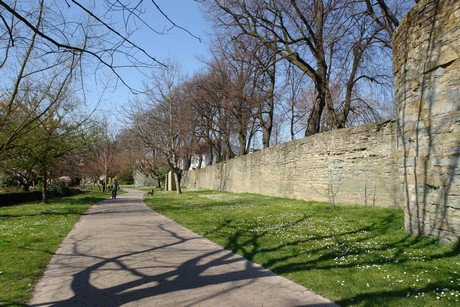 soest