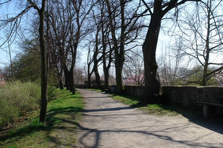 soest