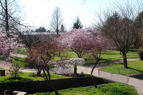 soest