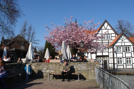 soest