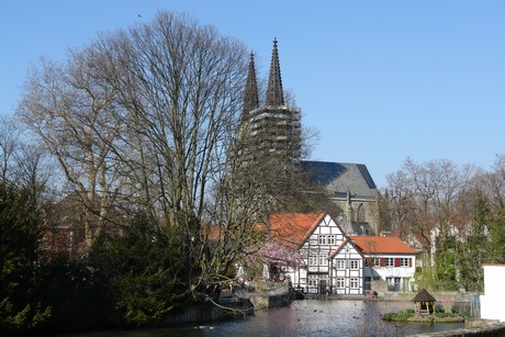 soest