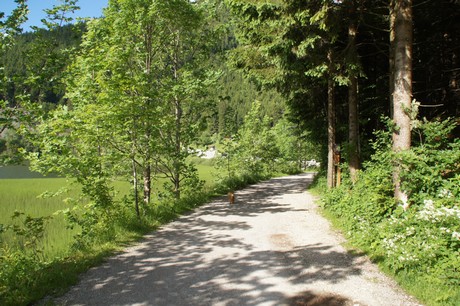 spitzingsee