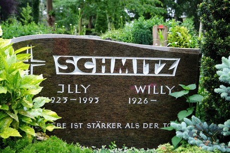Stommeln