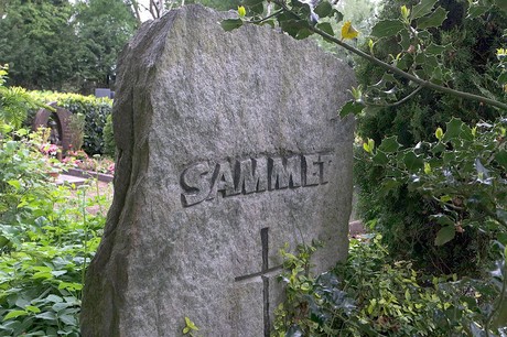Stommeln