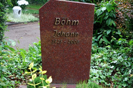 Stommeln