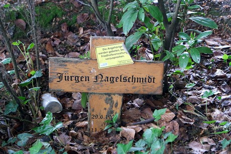 Stommeln