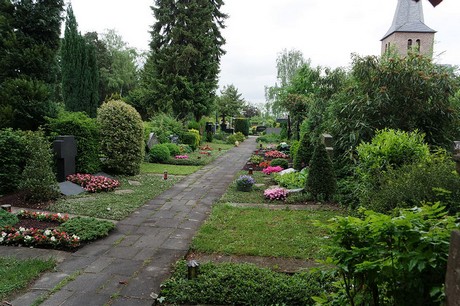 Stommeln