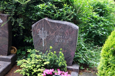 Stommeln