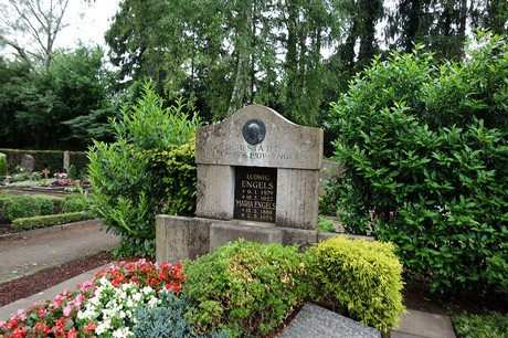Stommeln