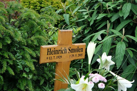 Stommeln