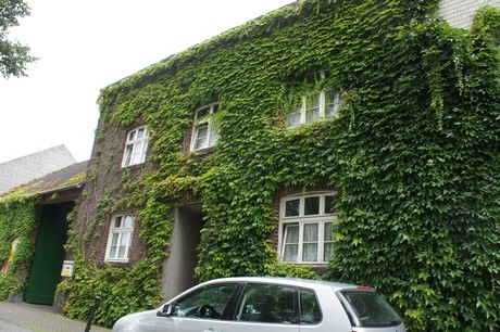 stommeln