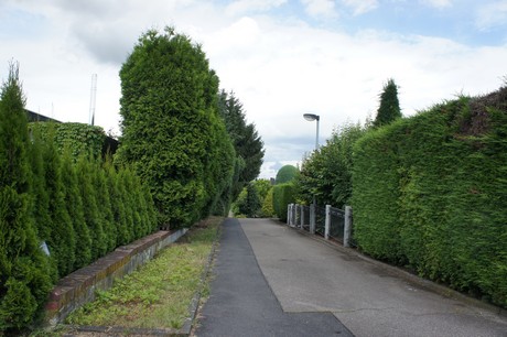 stommeln