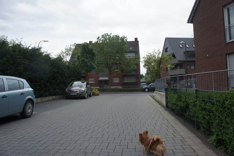 stotzheim