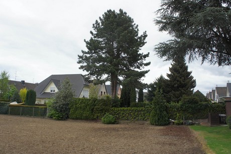 stotzheim