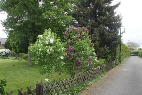 stotzheim