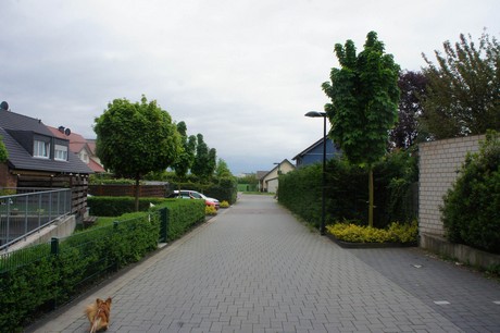 stotzheim