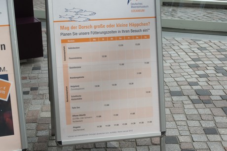 stralsund-ozeaneum