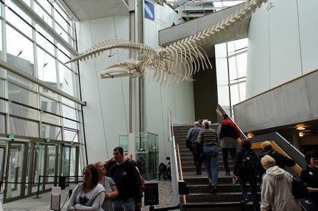 stralsund-ozeaneum