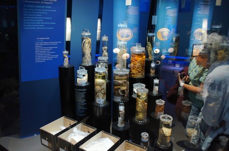 stralsund-ozeaneum