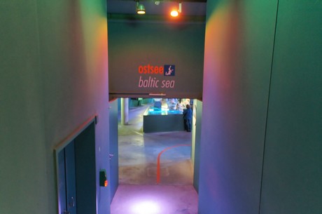 stralsund-ozeaneum