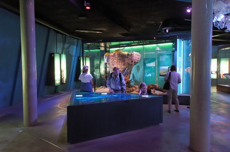 stralsund-ozeaneum