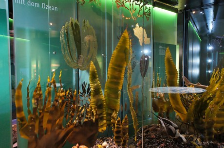 stralsund-ozeaneum