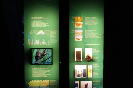 stralsund-ozeaneum