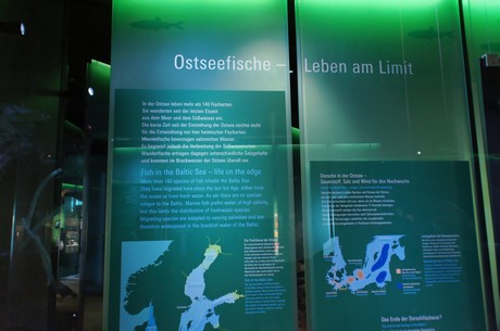 stralsund-ozeaneum