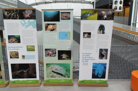 stralsund-ozeaneum