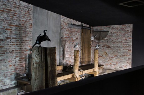 stralsund-ozeaneum