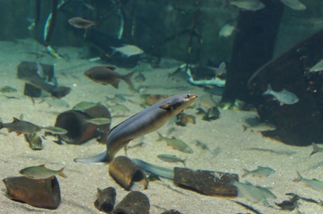 stralsund-ozeaneum