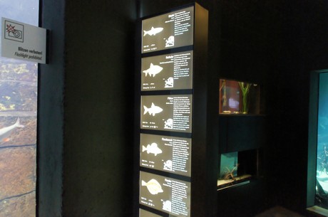stralsund-ozeaneum