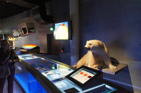stralsund-ozeaneum