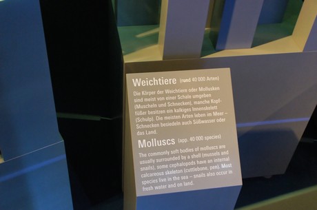 stralsund-ozeaneum