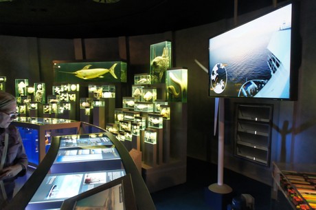 stralsund-ozeaneum