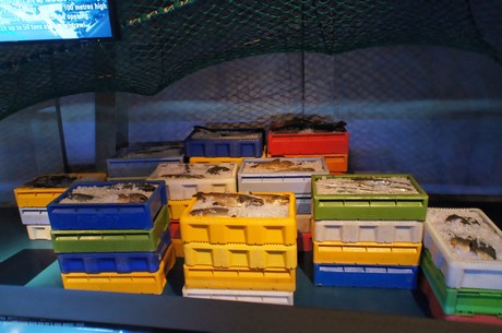 stralsund-ozeaneum
