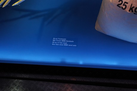 stralsund-ozeaneum