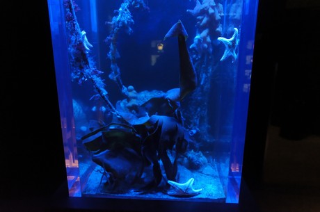 stralsund-ozeaneum